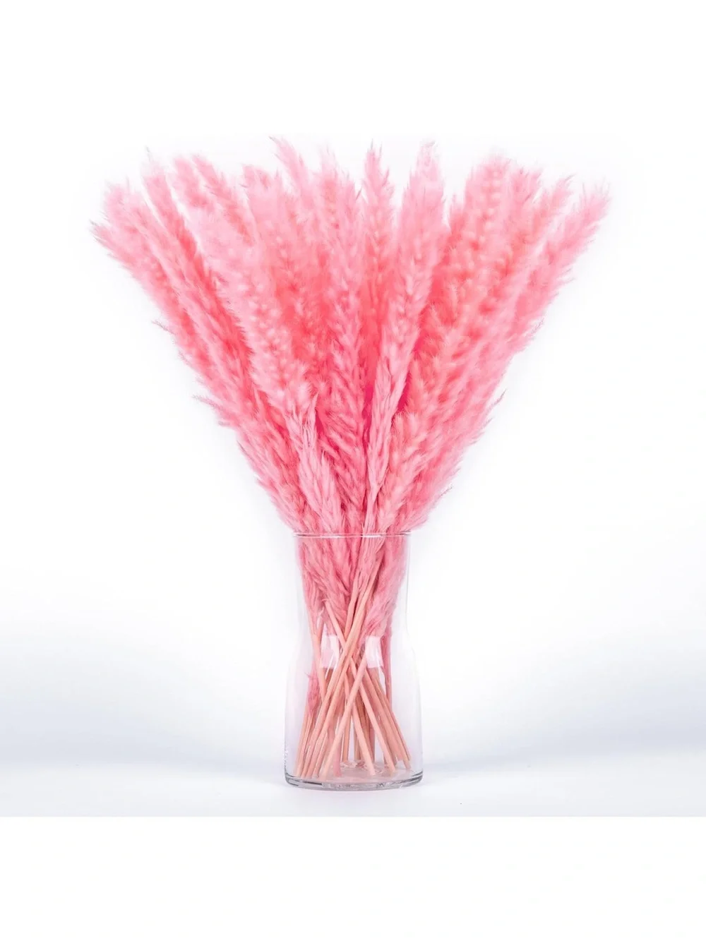 Colorful Dried Pampas Grass Stems – Multicolor Home Accent